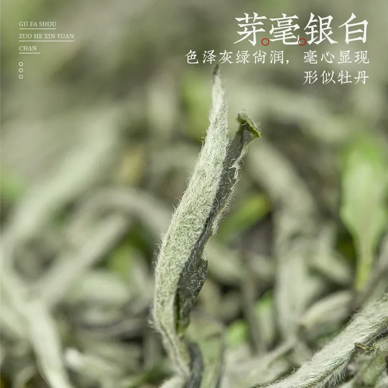 Bai Mu Dan, mini packs