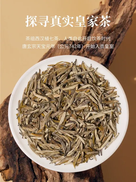 Mengding Huang Ya